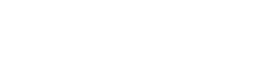 DNT Project Company Logo